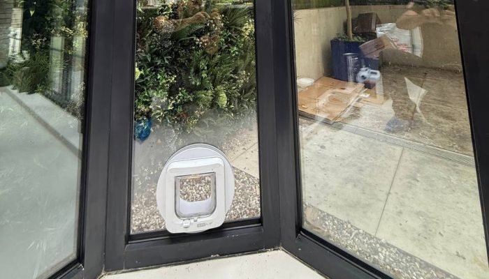 cat flap