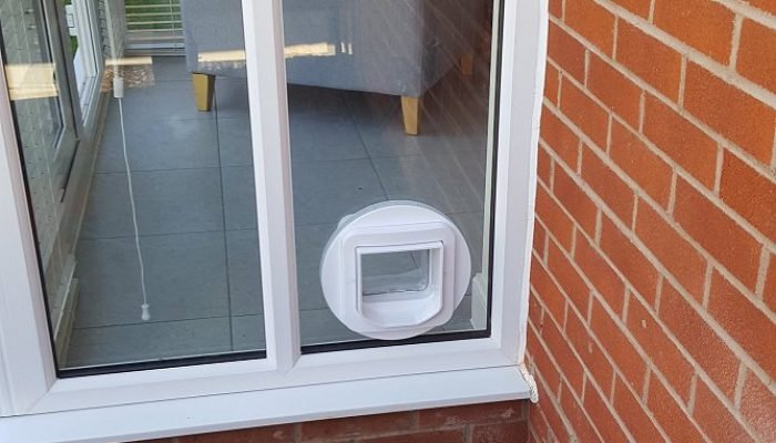 cat-flap-glass-door-patio-1